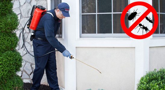 Seben Dezenfeksiyon böcek ilaçlama ve haşere kontrolü — ilaclama-tr.com